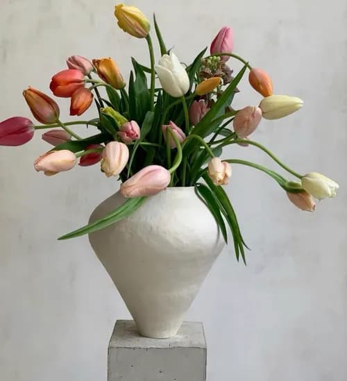Tulips