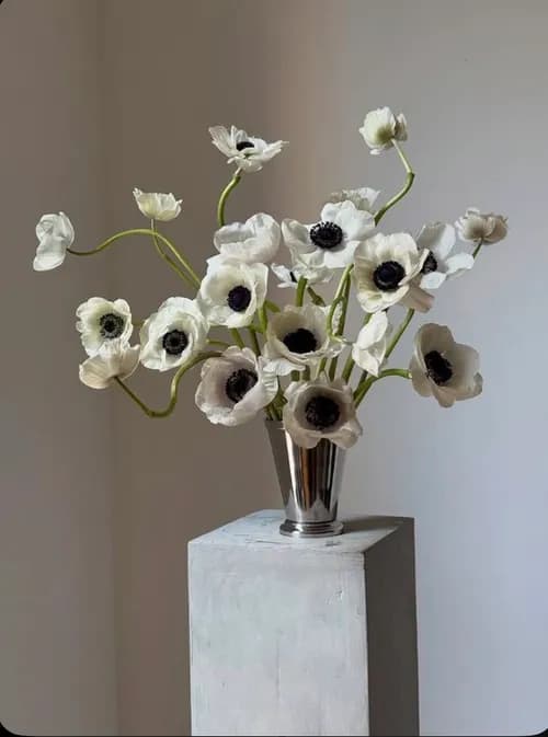 Poppy